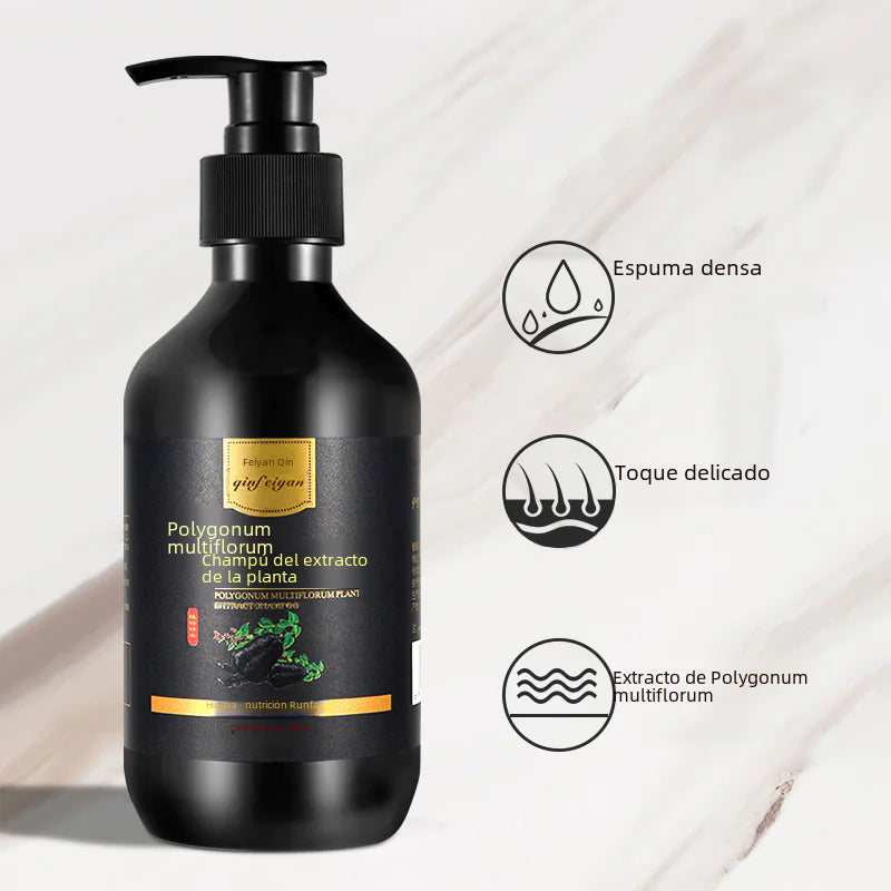 Herbal Shampoo for Itchy Scalp and Dandruff Control