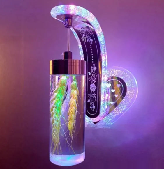 Oval Acrylic Crystal Hanging Wall Lamp