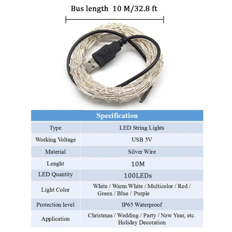 100 LED USB Fairy Lights with Remote Control